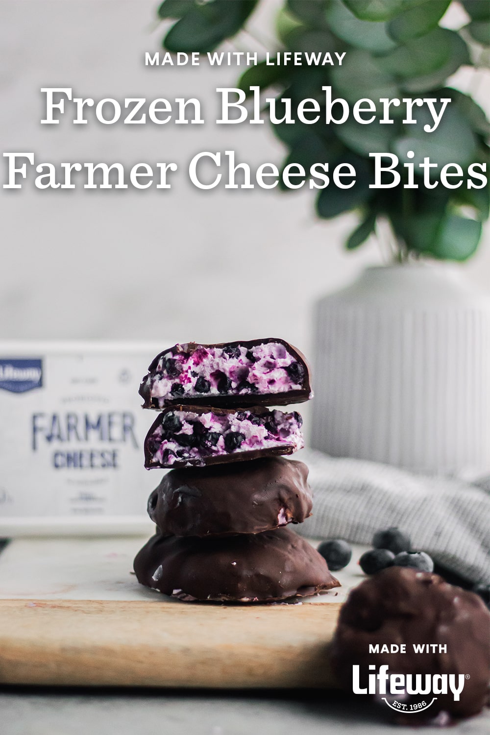 Frozen Blueberry Farmer Cheese Bites